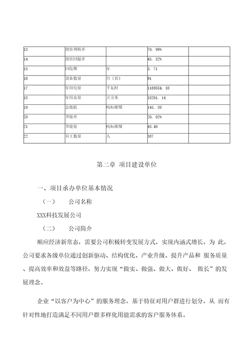 模板大包围项目投资分析计划书参考方案