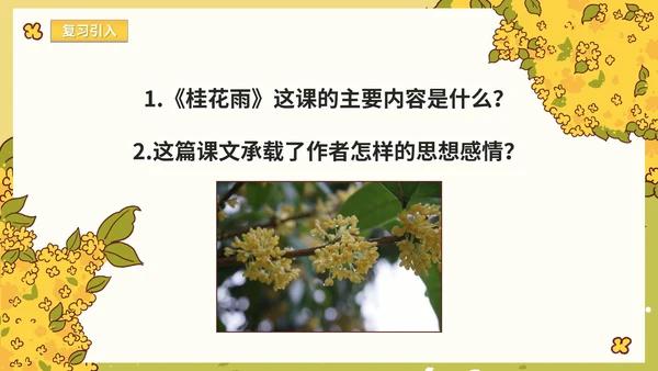 部编版语文五年级上册《桂花雨》课件
