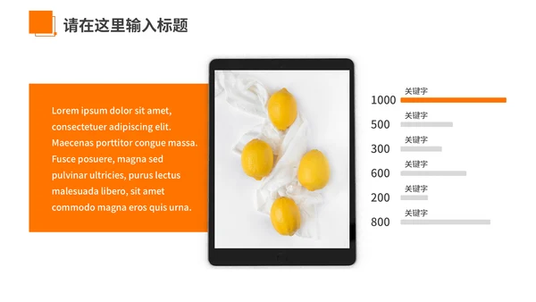 橙色夏季风优雅商务工作汇报通用PPT模板