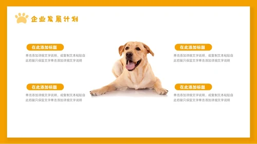 橙色简约宠物行业商业计划书PPT