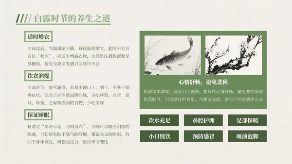 绿色中国风白露节气主题班会PPT模板