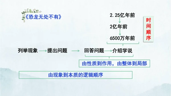 统编版语文八年级下册第二单元写作《说明的顺序》课件(共49张PPT)