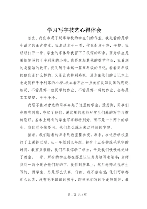 学习写字技艺心得体会 (2).docx