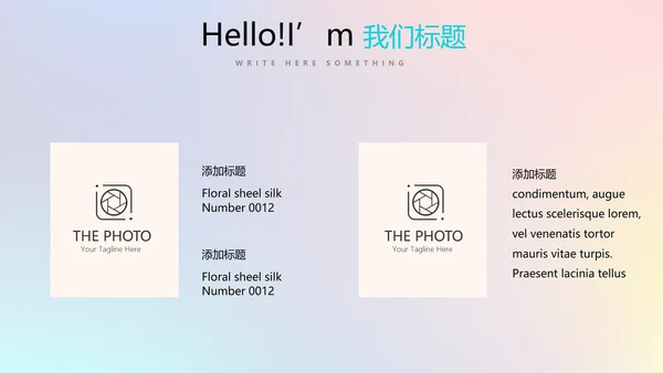 公安科技信息化网络信息软件科技商务动态PPT