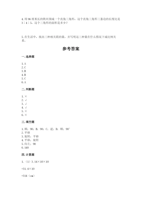 北师大版六年级下册数学期末测试卷及完整答案（全国通用）.docx