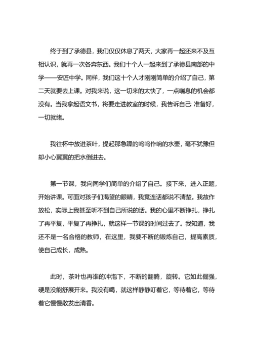 冬季顶岗实习个人总结.docx