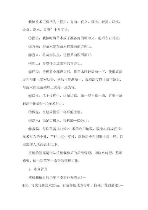 核桃栽培管理技术