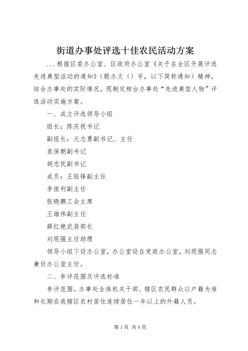 街道办事处评选十佳农民活动方案 (4).docx