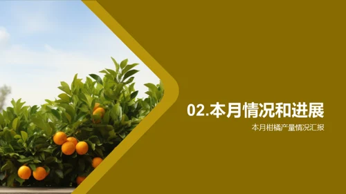 柑橘产业赋能：挑战与战略