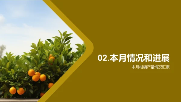 柑橘产业赋能：挑战与战略