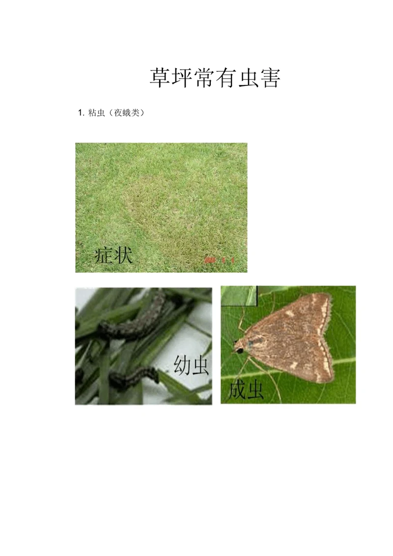 园林草坪常见虫害