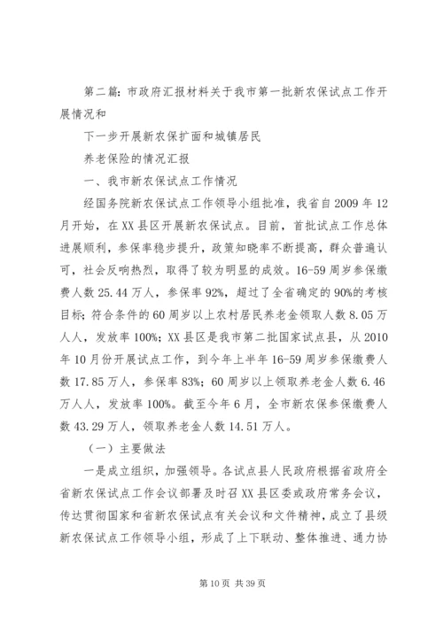 市政府专题汇报.docx