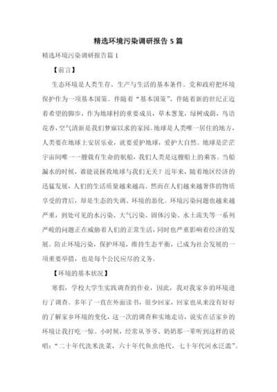 精选环境污染调研报告5篇.docx