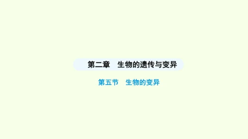 7.2.5生物的变异课件-人教版生物八年级下册(共28张PPT)