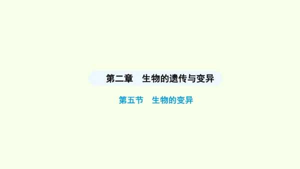 7.2.5生物的变异课件-人教版生物八年级下册(共28张PPT)