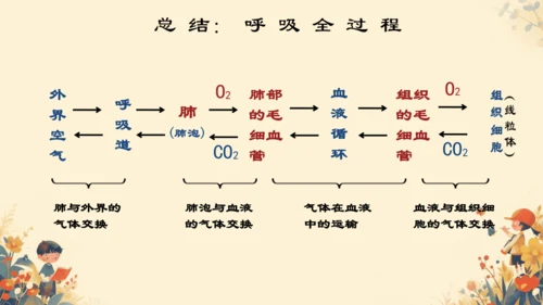 人教版（新课程标准）七年级下册4.3.2 发生在肺内的气体交换课件(共20张PPT)