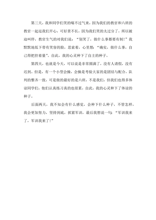 初中军训心得体会模板集锦5篇（一）.docx