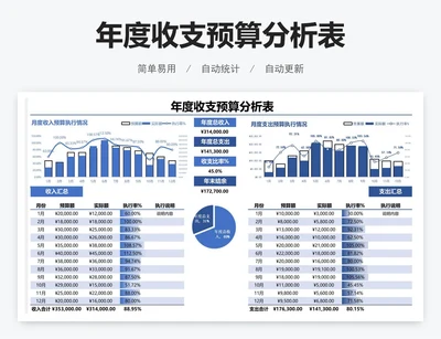 年度收支预算分析表