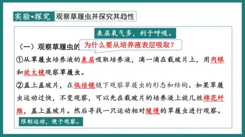 第一单元第三章从细胞到生物体（复习课件）-七年级生物上册同步教学精制课件（人教版2024）(共44张