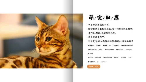 简约宠物萌宠画册电子相册通用PPT模板