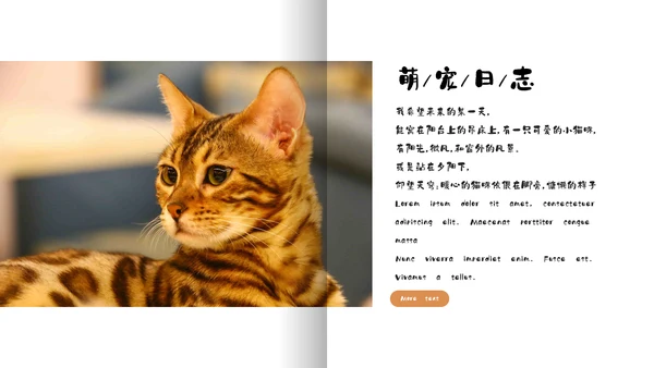 简约宠物萌宠画册电子相册通用PPT模板