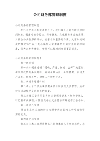 公司财务部管理制度_5.docx