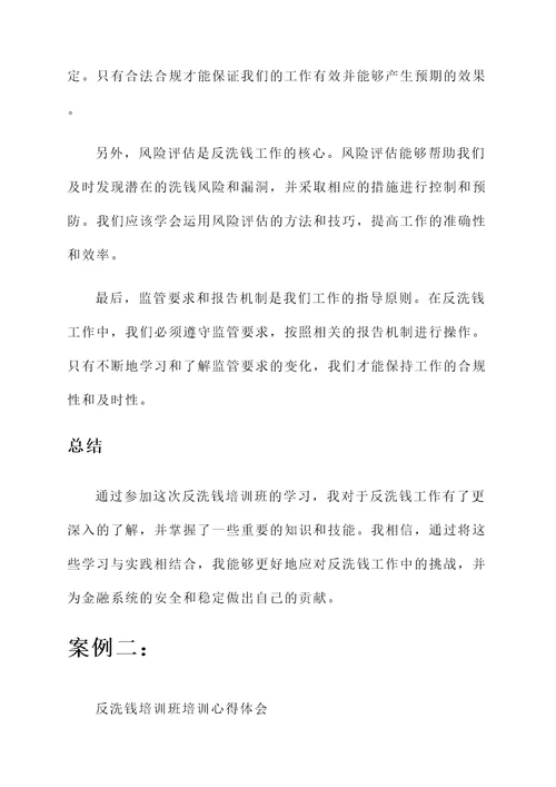 反洗钱培训班培训心得体会