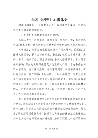 学习《纲要》心得体会 (5).docx