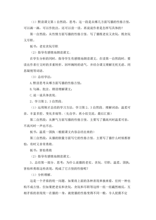 关于猫教案集合五篇.docx