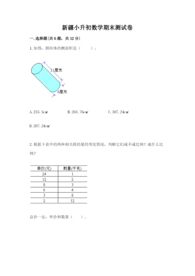 新疆小升初数学期末测试卷（巩固）.docx