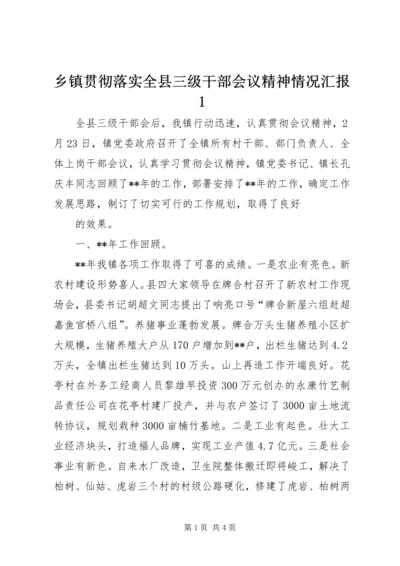 乡镇贯彻落实全县三级干部会议精神情况汇报1.docx