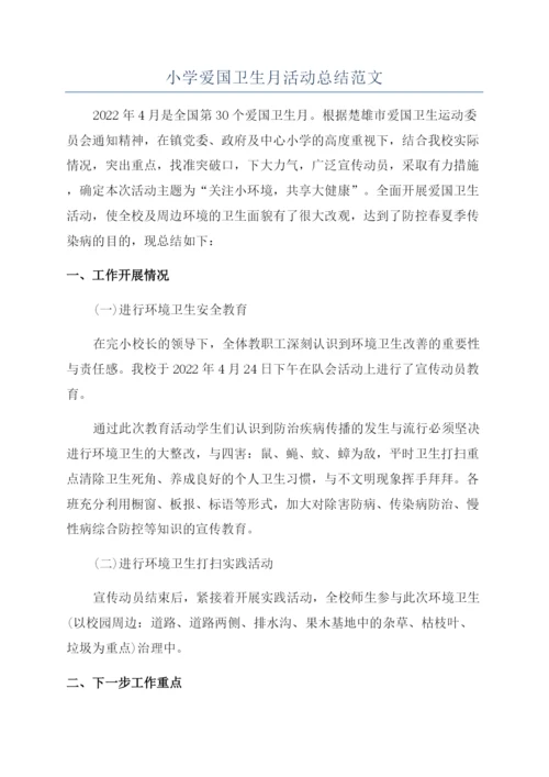 小学爱国卫生月活动总结范文.docx