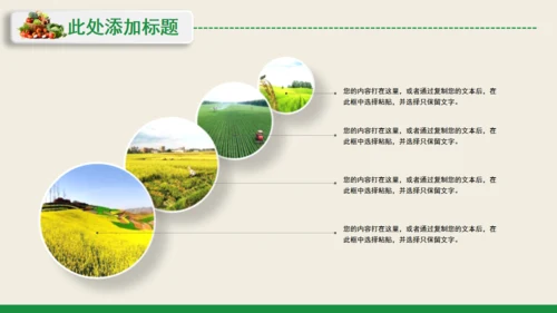 新农村和谐发展乡村振兴通用PPT模板