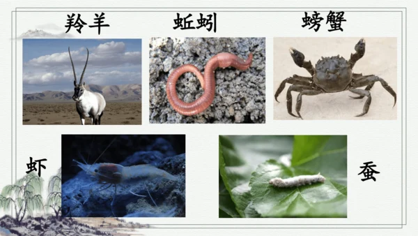 部编版二年级上册语文 语文园地八 课件