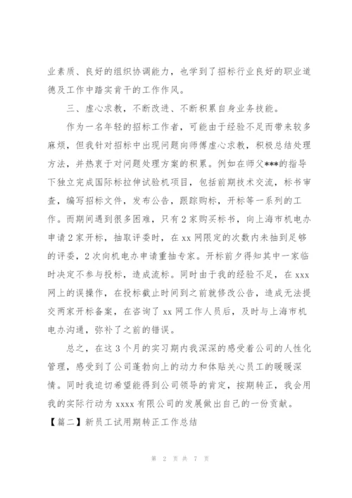 新员工试用期转正工作总结怎么写.docx