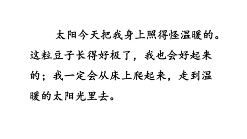 5《一个豆荚里的五粒豆》  课件