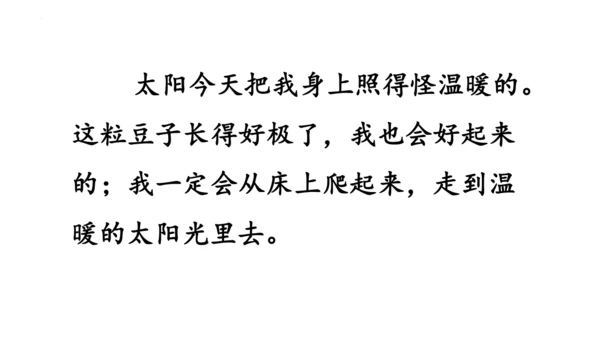 5《一个豆荚里的五粒豆》  课件