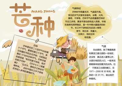 二十四节气芒种word小报