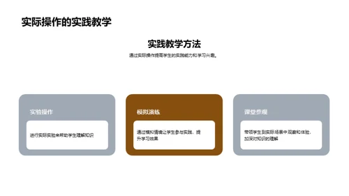 实践教学全探析