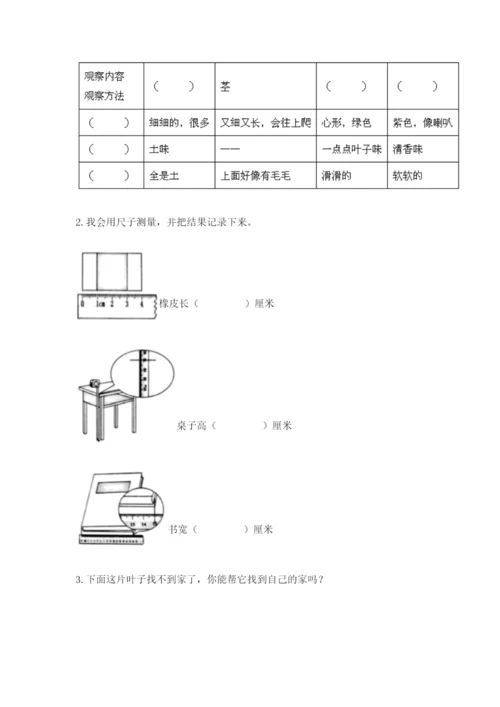 教科版一年级上册科学期末测试卷精品【基础题】.docx