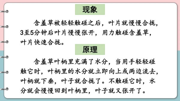 第16课《金色的草地》（第二课时）课件