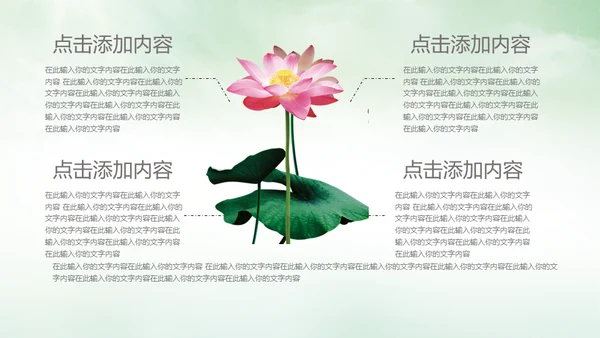 中国风荷塘风景荷叶荷花青莲通用PPT模板