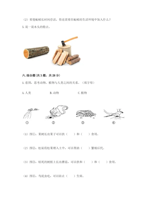 教科版二年级上册科学期末测试卷含完整答案【历年真题】.docx