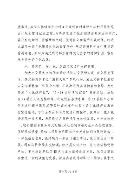 县文广新局年度工作报告.docx