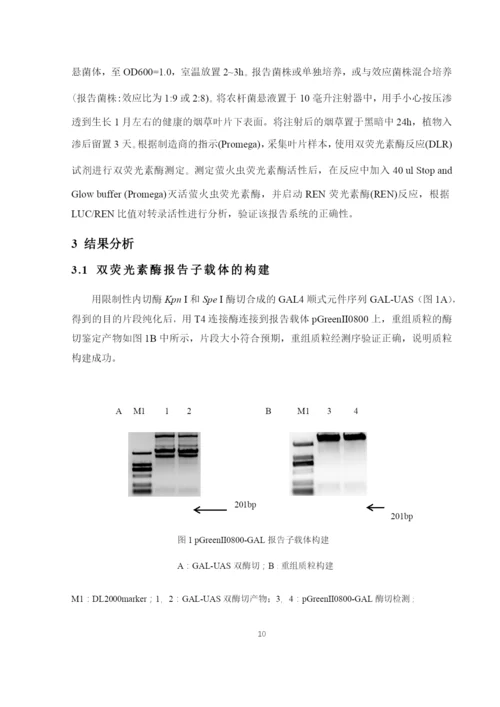 8715335_王光行_植物转录因子转录活性分析系统开发及验证_论文-12.docx