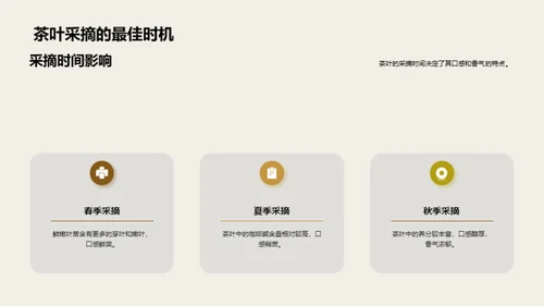 茶叶生产全链路探析