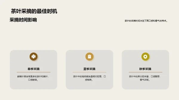 茶叶生产全链路探析