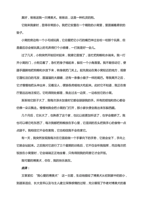 -统编版2024-2025学年语文五年级上册第一单元习作指导 我的心爱之物（讲稿）讲义
