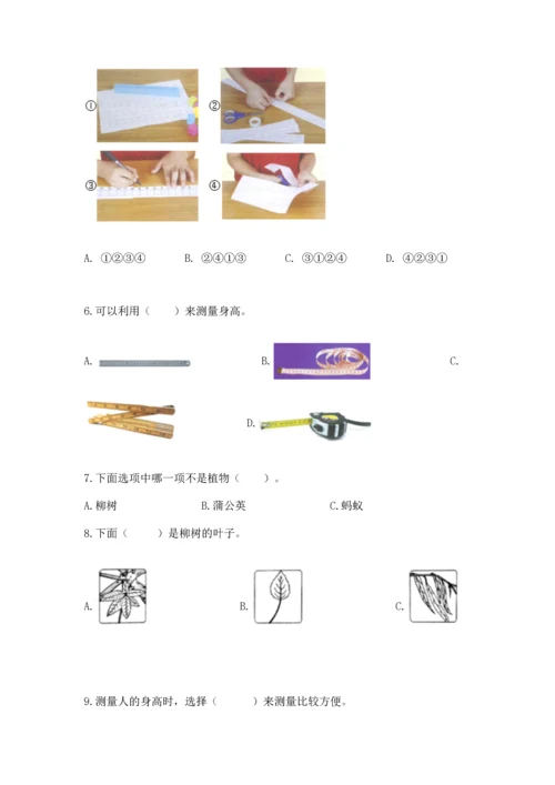 教科版科学一年级上册期末测试卷（名师系列）.docx