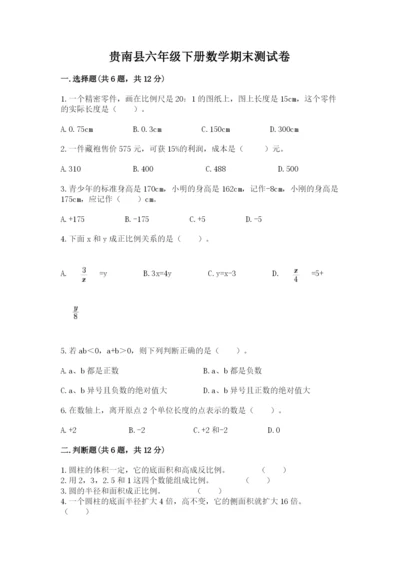 贵南县六年级下册数学期末测试卷1套.docx
